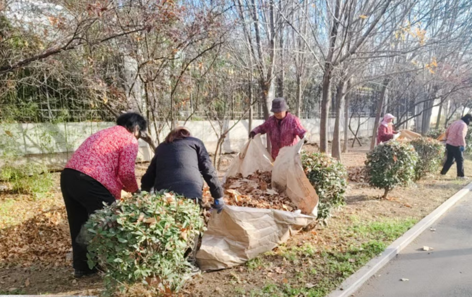 微信图片_20251127102100_383_2