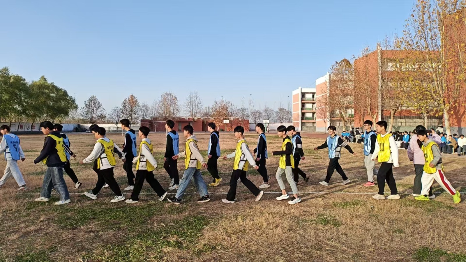 a9dcae9d19f38fc7ed2ea8a805ccccb