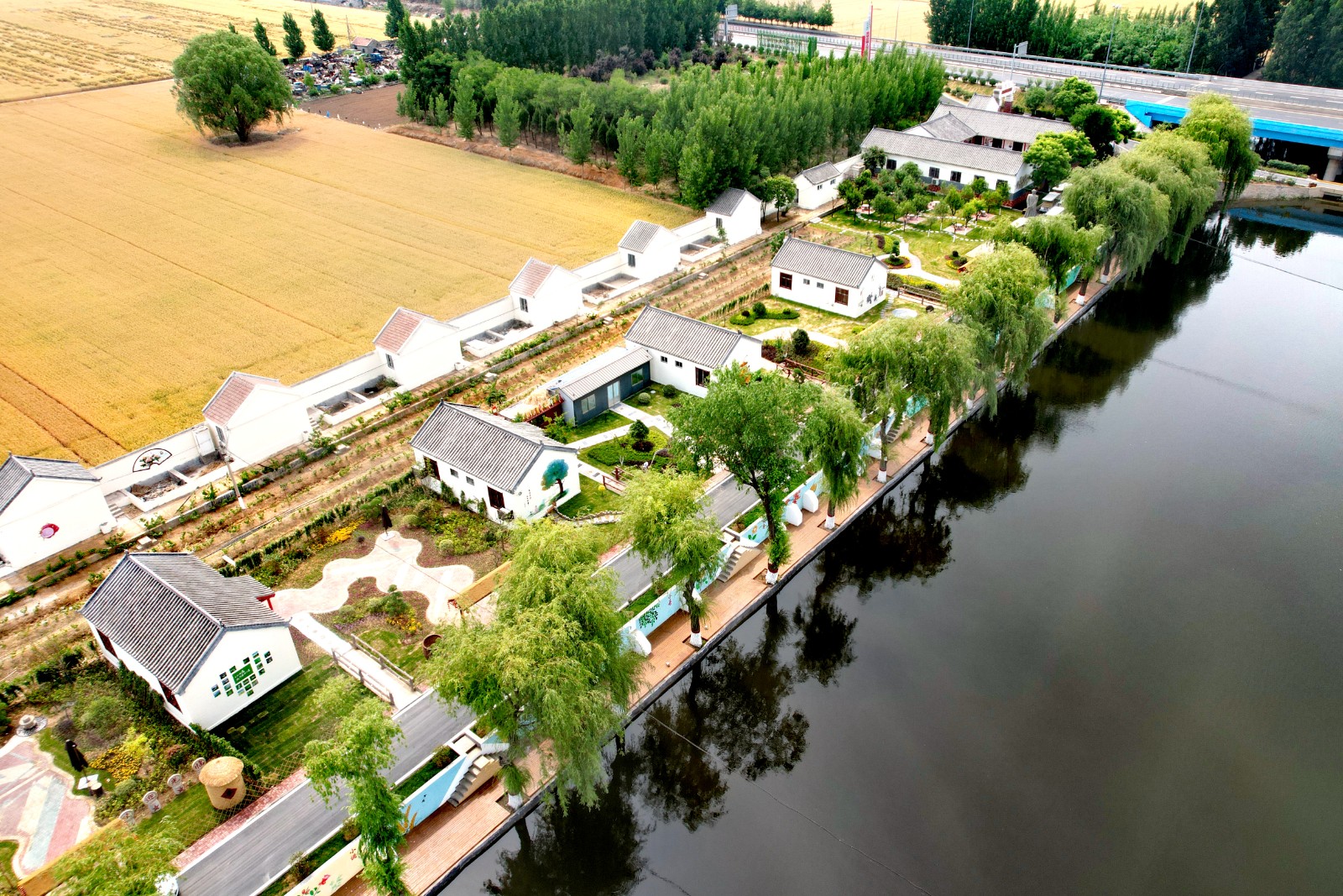 共富公司项目-非遗院子