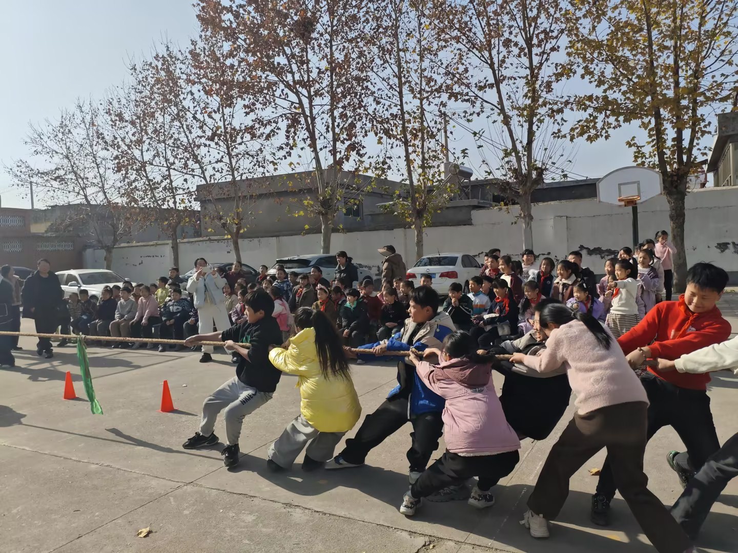 83ffa5fbab809ba17bbfe7136666e3dd_compress