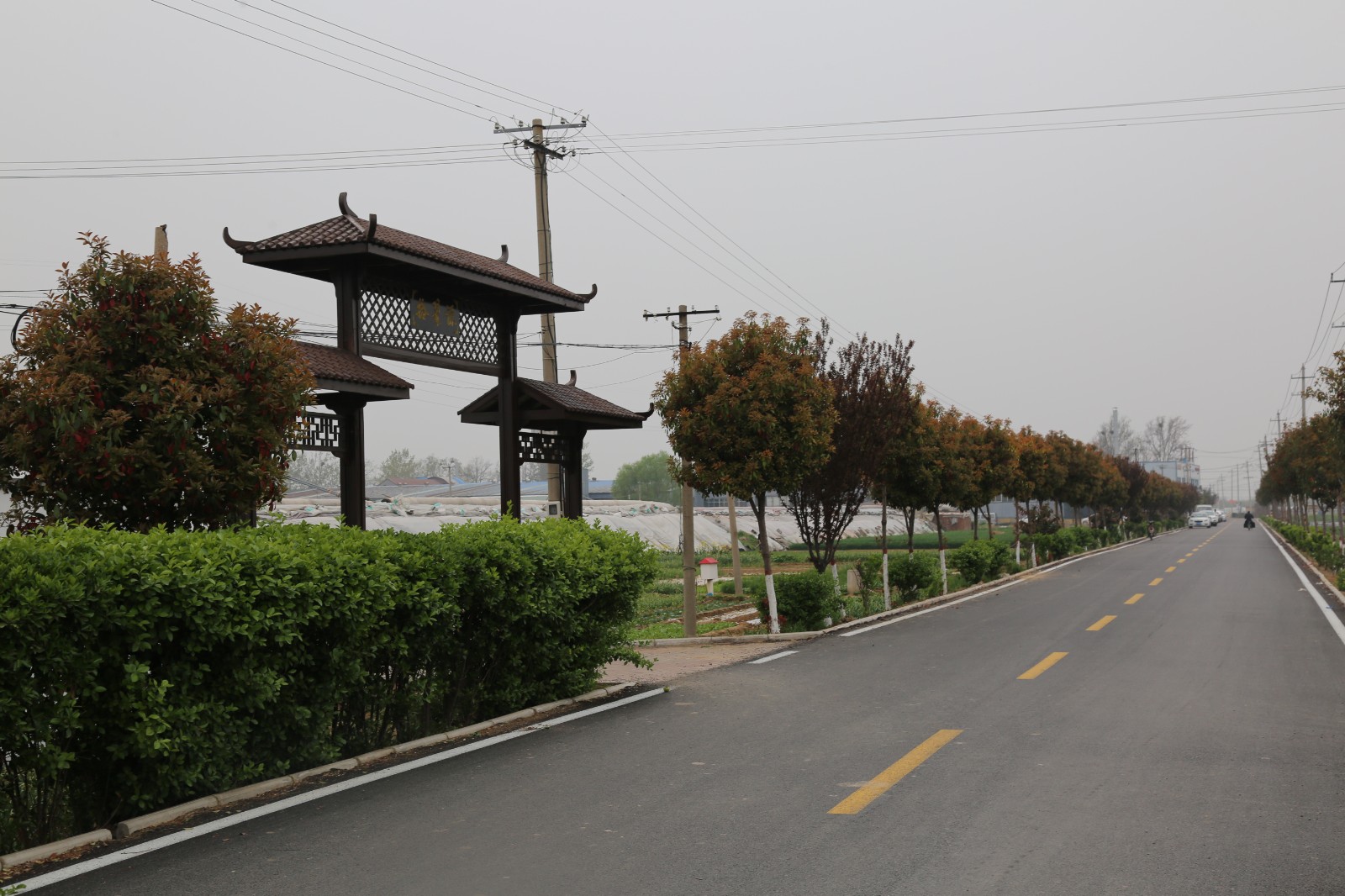 微信图片_20251201154625_1716_29