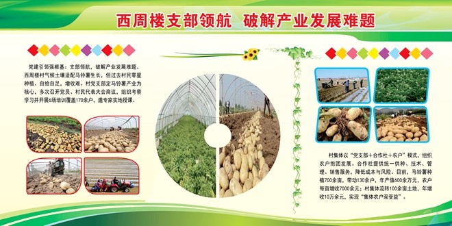 微信图片_20251210104635_29_165