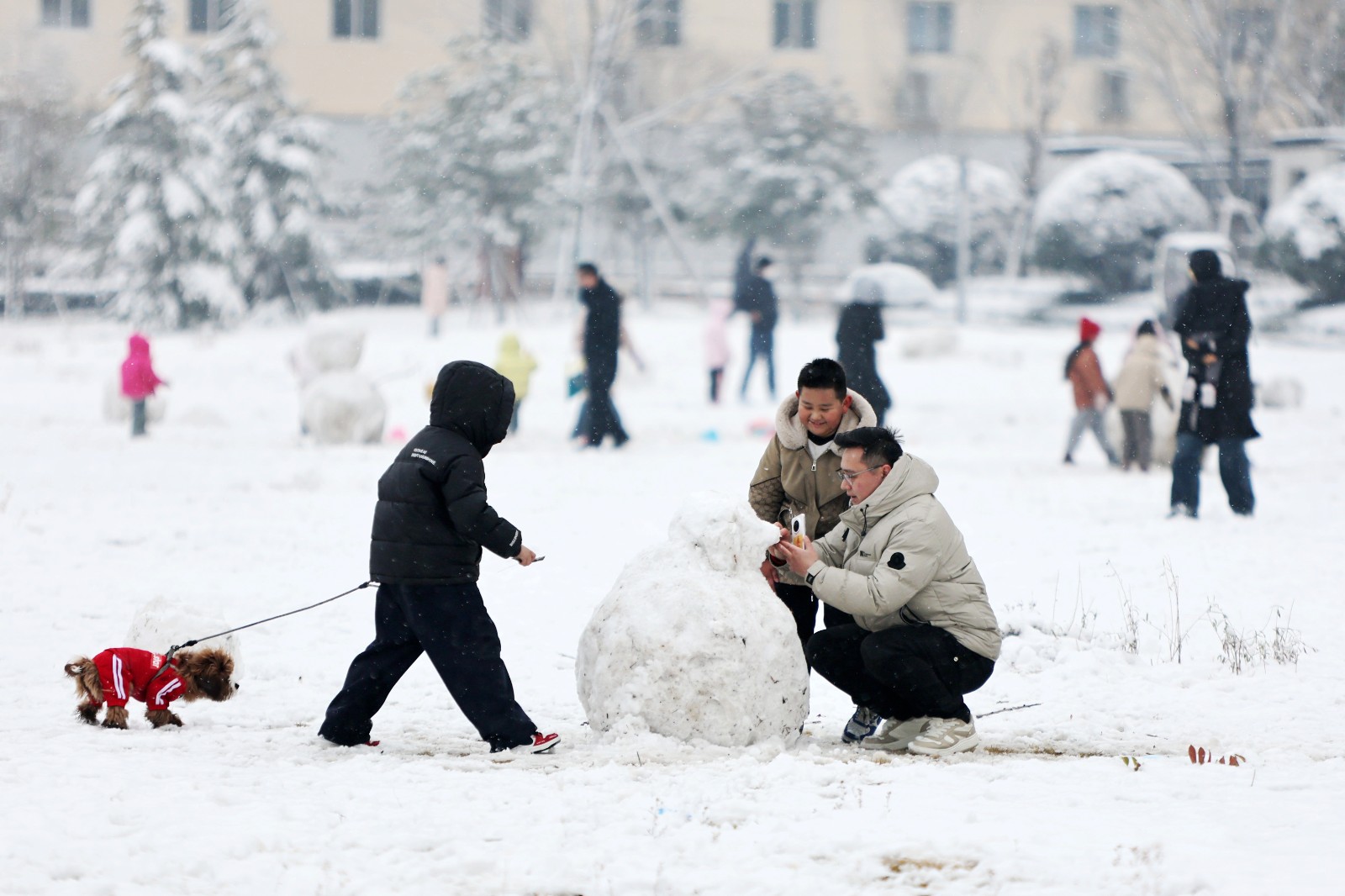 微信图片_20251214091111