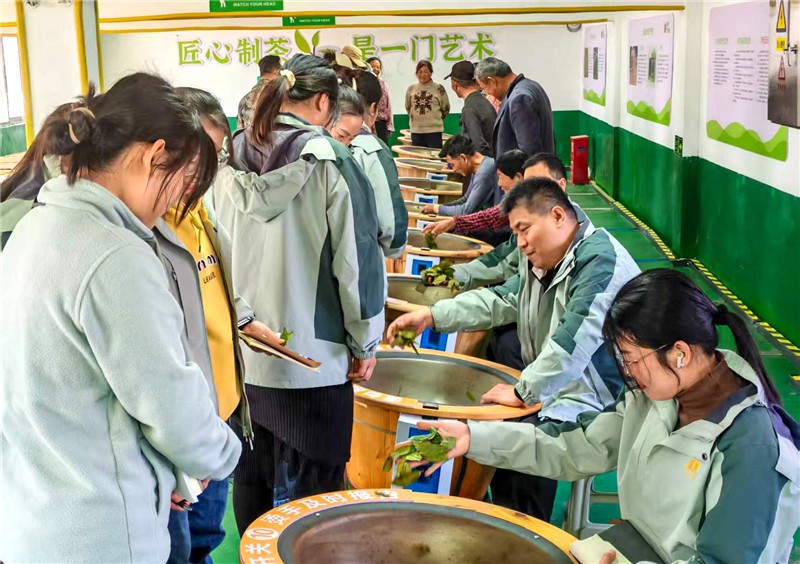 微信图片_20250328100159