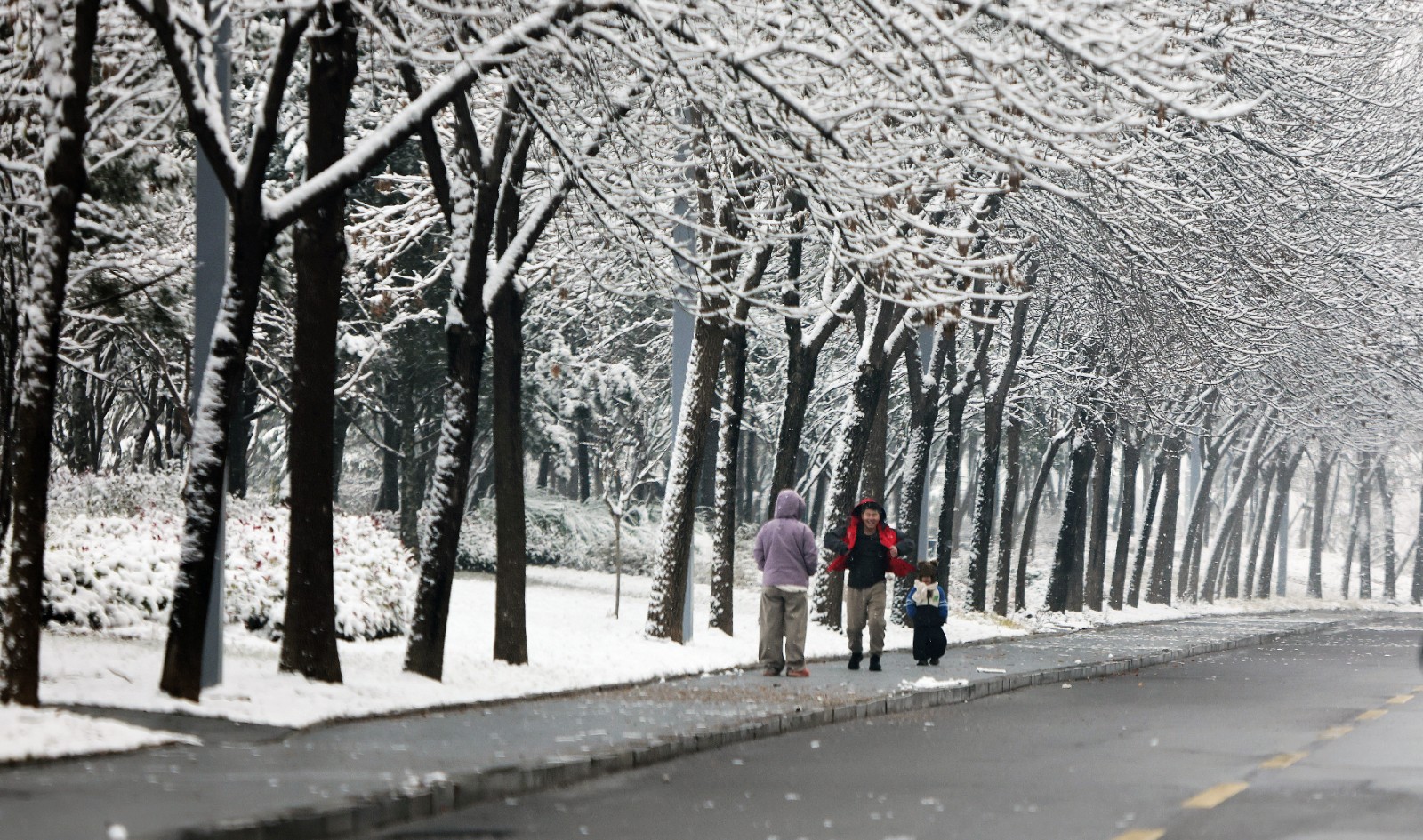 微信图片_20251214091118