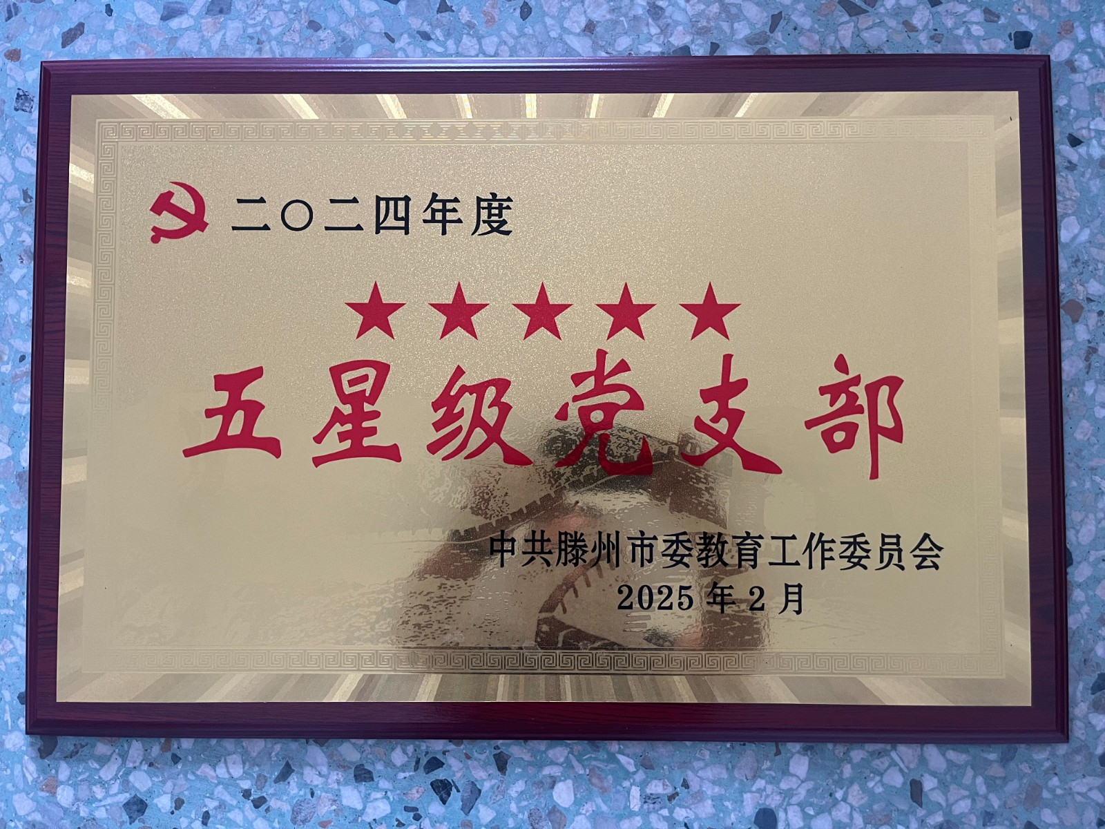 2024年度五星级党支部2