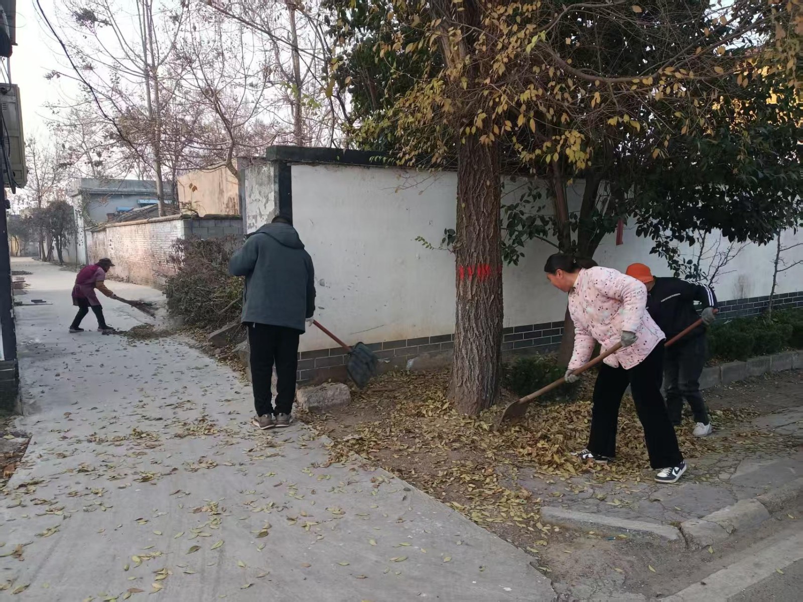 微信图片_20251217154654