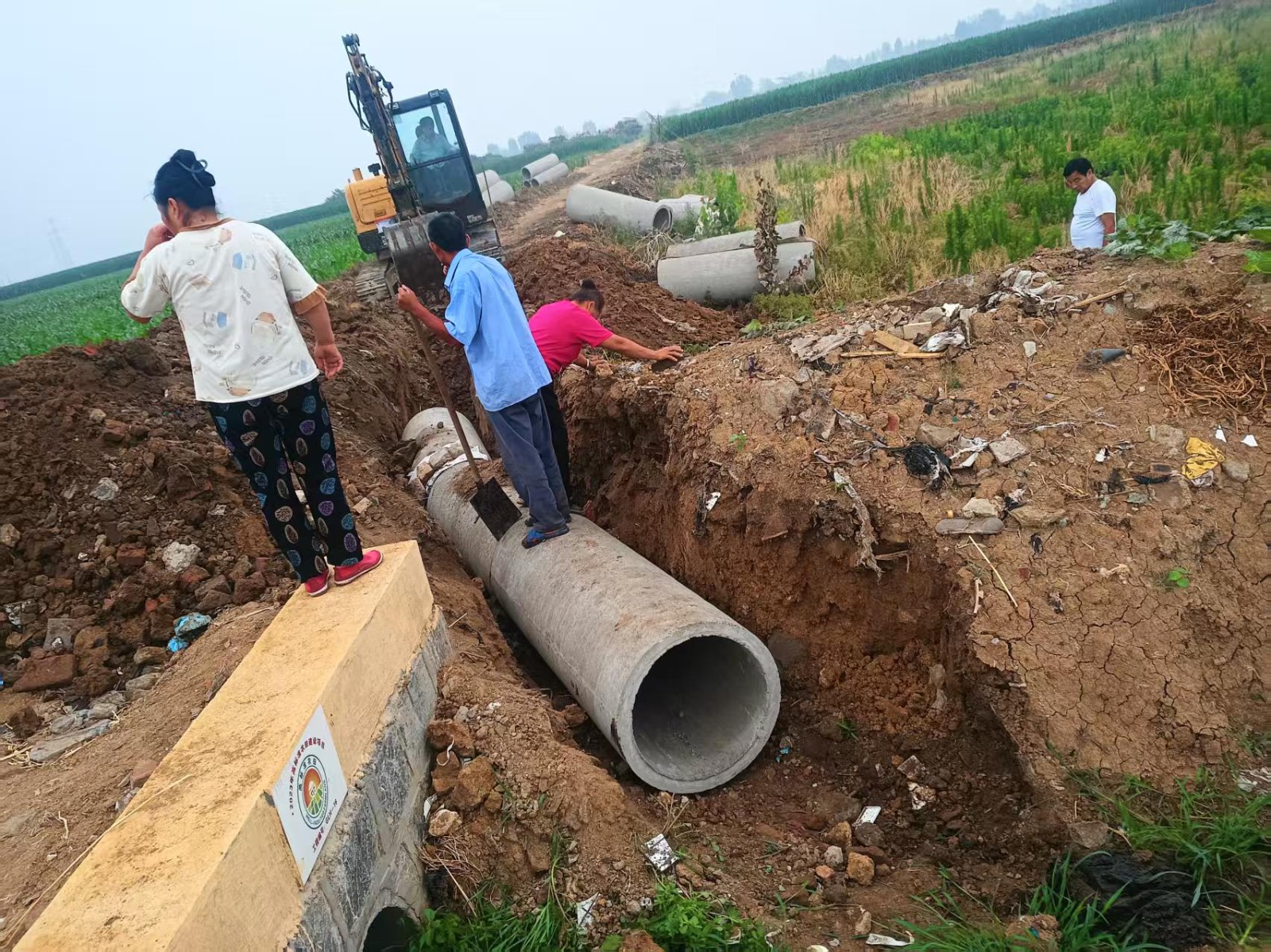 微信图片_20251224144602