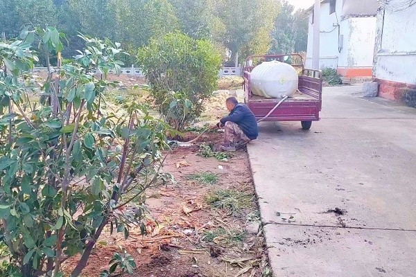 2772ec07cdd2a3f824c9bbf9a1c728d4_1