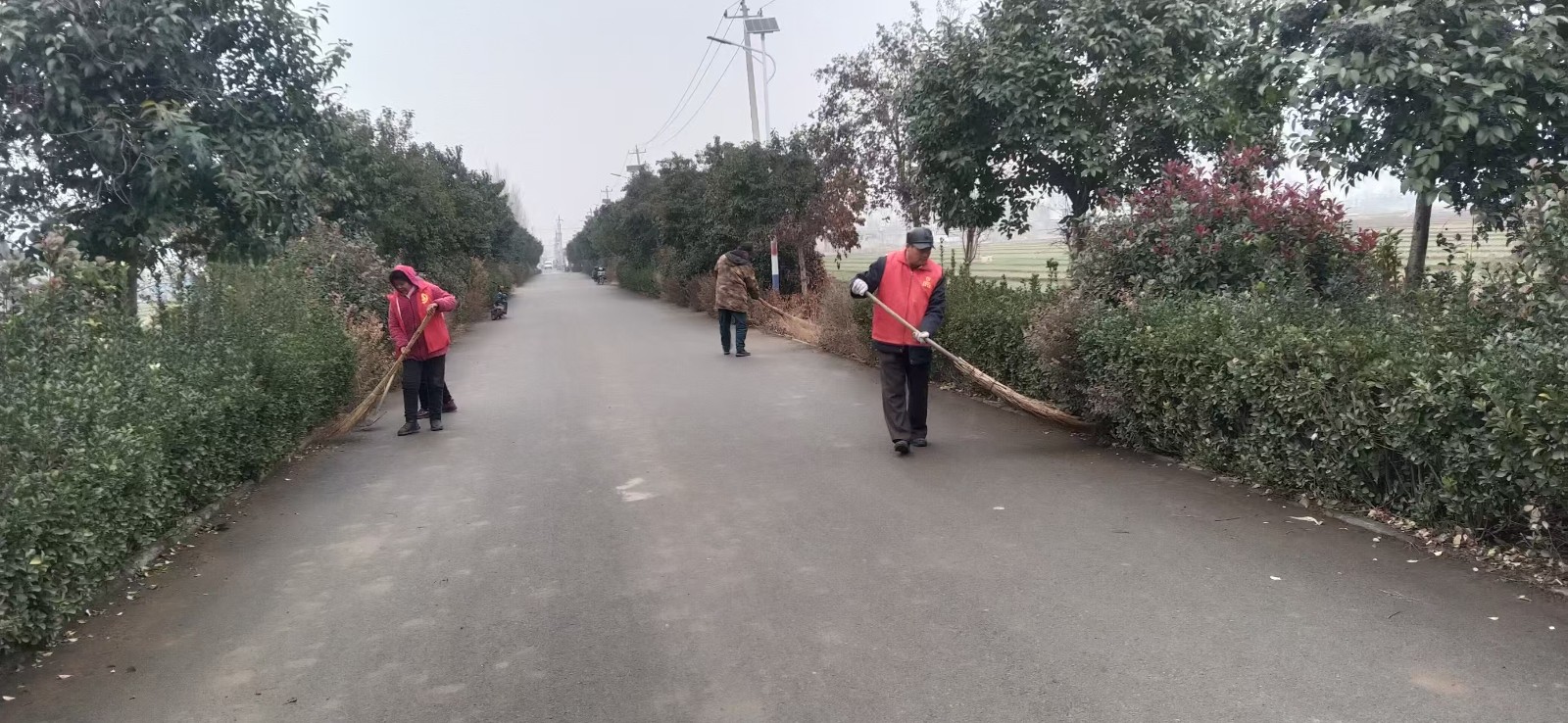 微信图片_20251225103654_2194_29