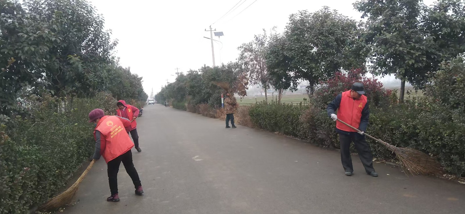 微信图片_20251225103654_2193_29