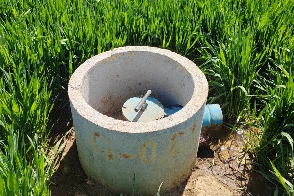 c6a347a05496c4c1c067243d0e7c0edf_1