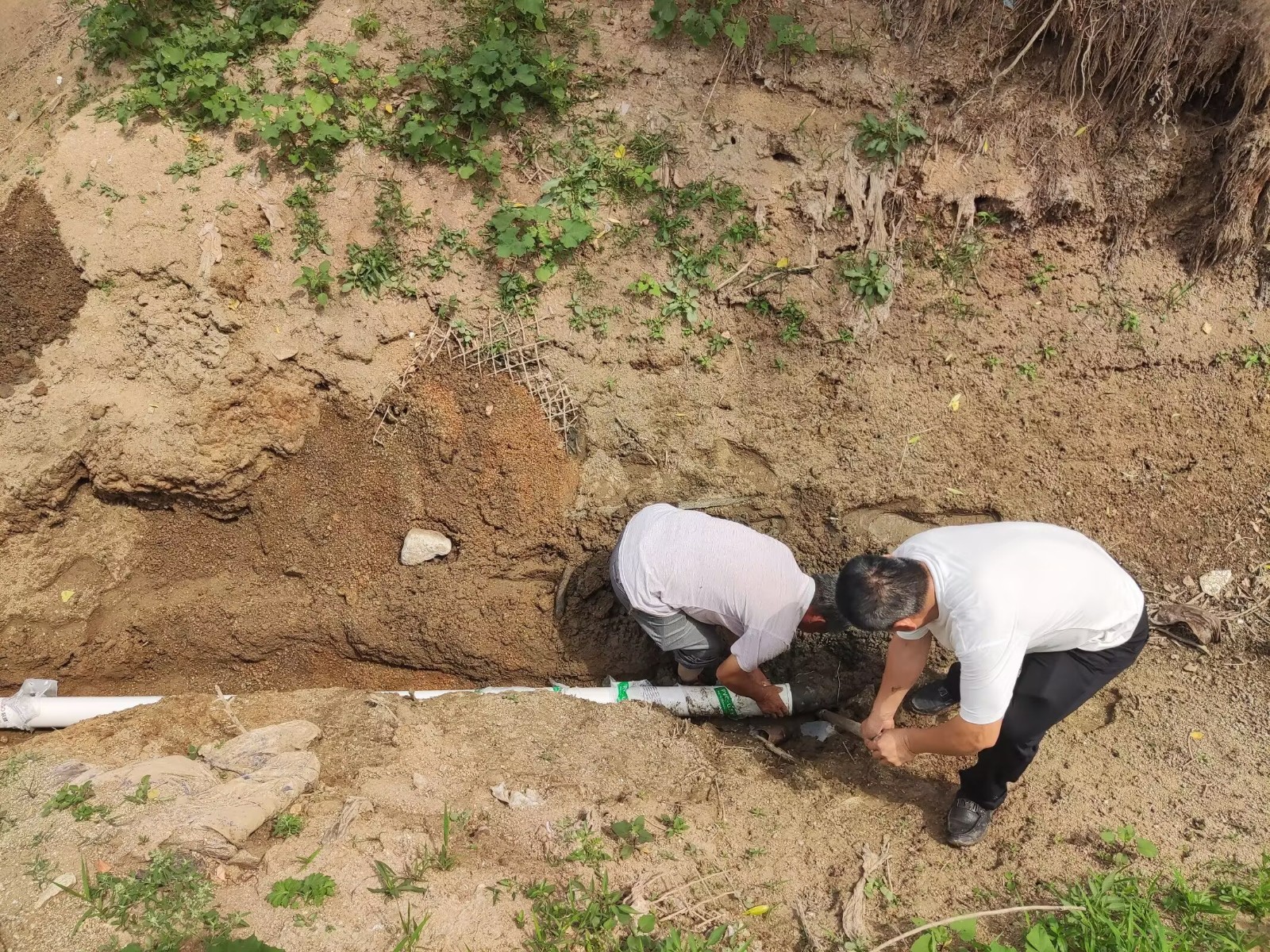 微信图片_20251226161049