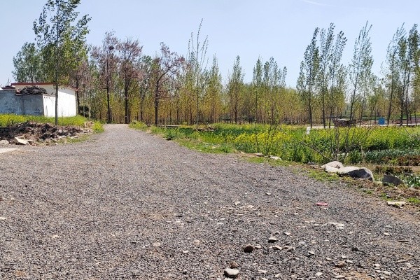 96141bbd8da0322fd78cd4e447d091d3_1