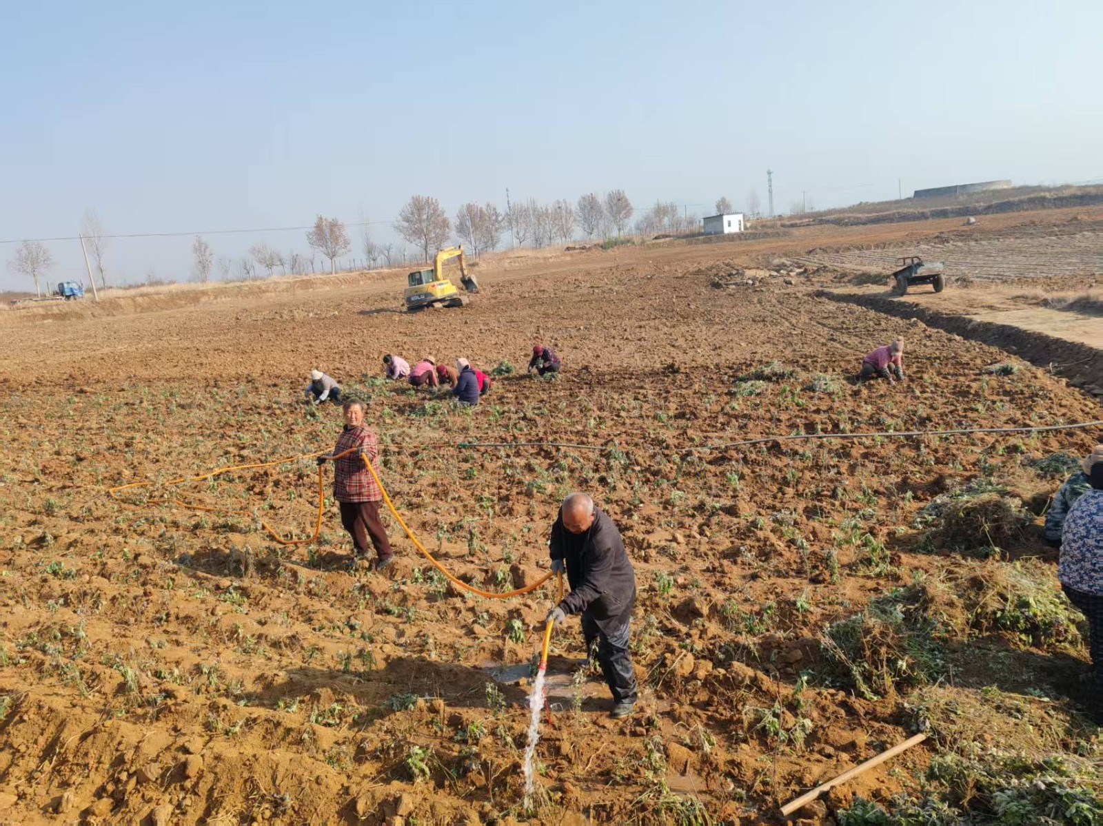 微信图片_20251227091847