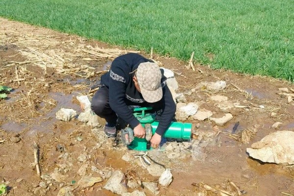 羊南维修灌溉出水口及电缆