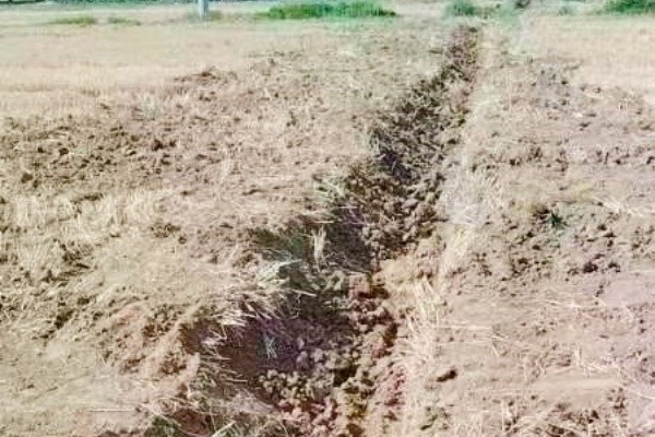 微信图片_20250908114605_29_32