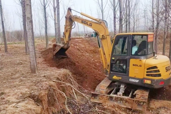 微信图片_20251209152844_478_13