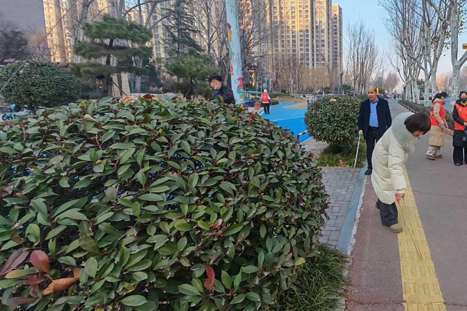 微信图片_20260103153925_6715_103_副本