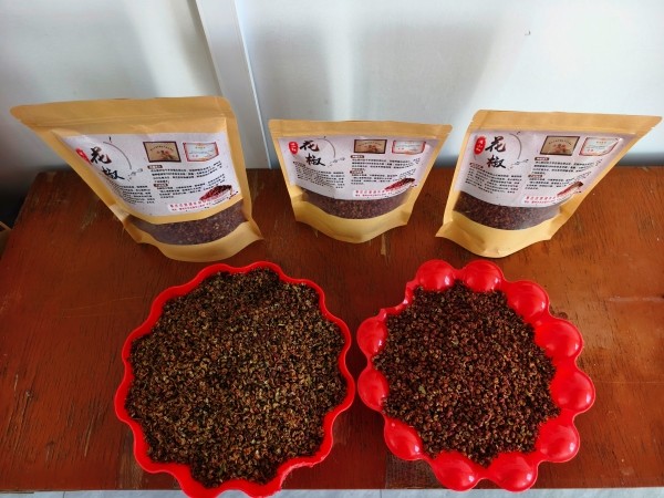 微信图片_20260113132906_1719_333_副本