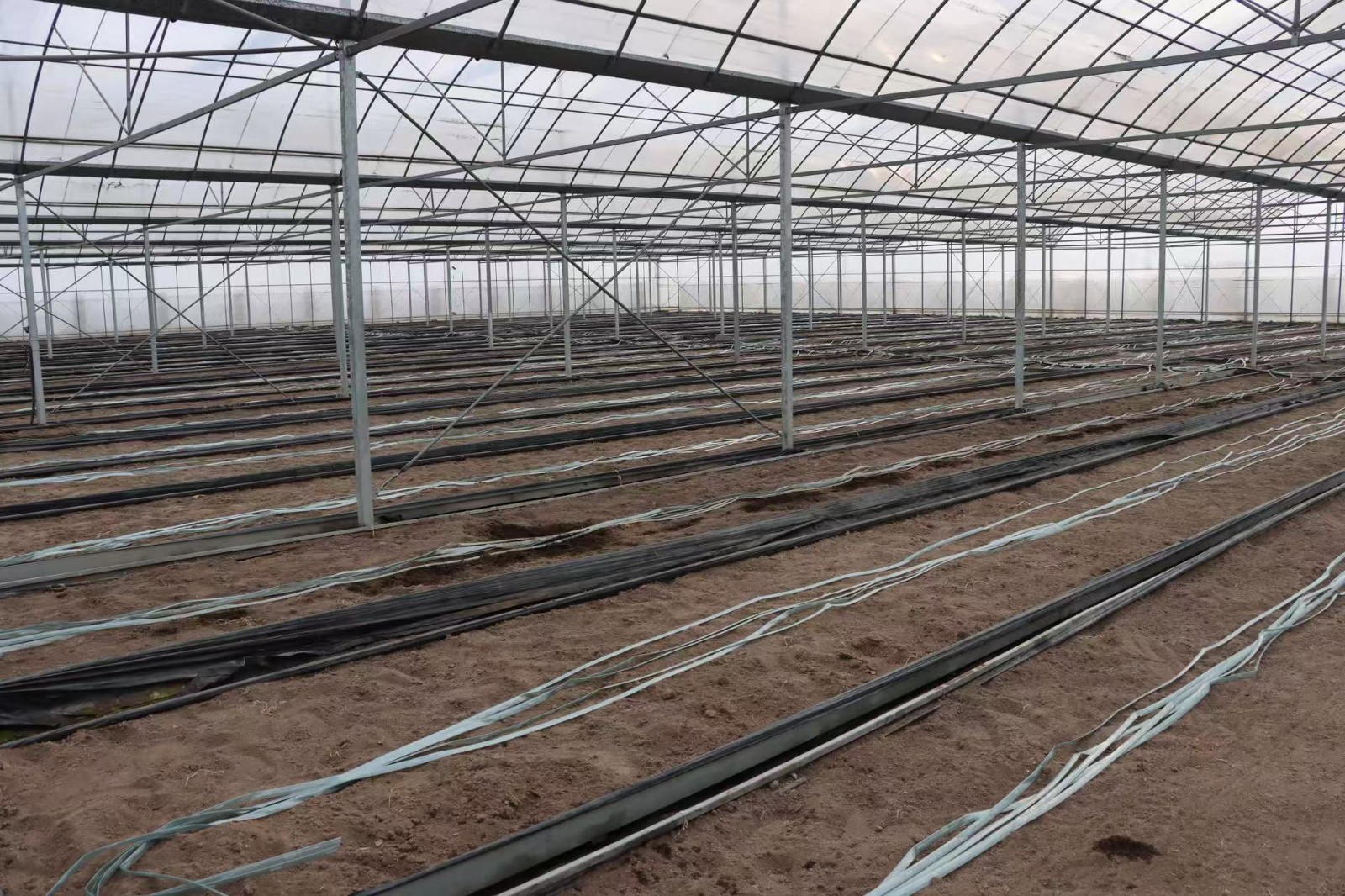 018175e82cc82ac71cc0bbdf38e42e71