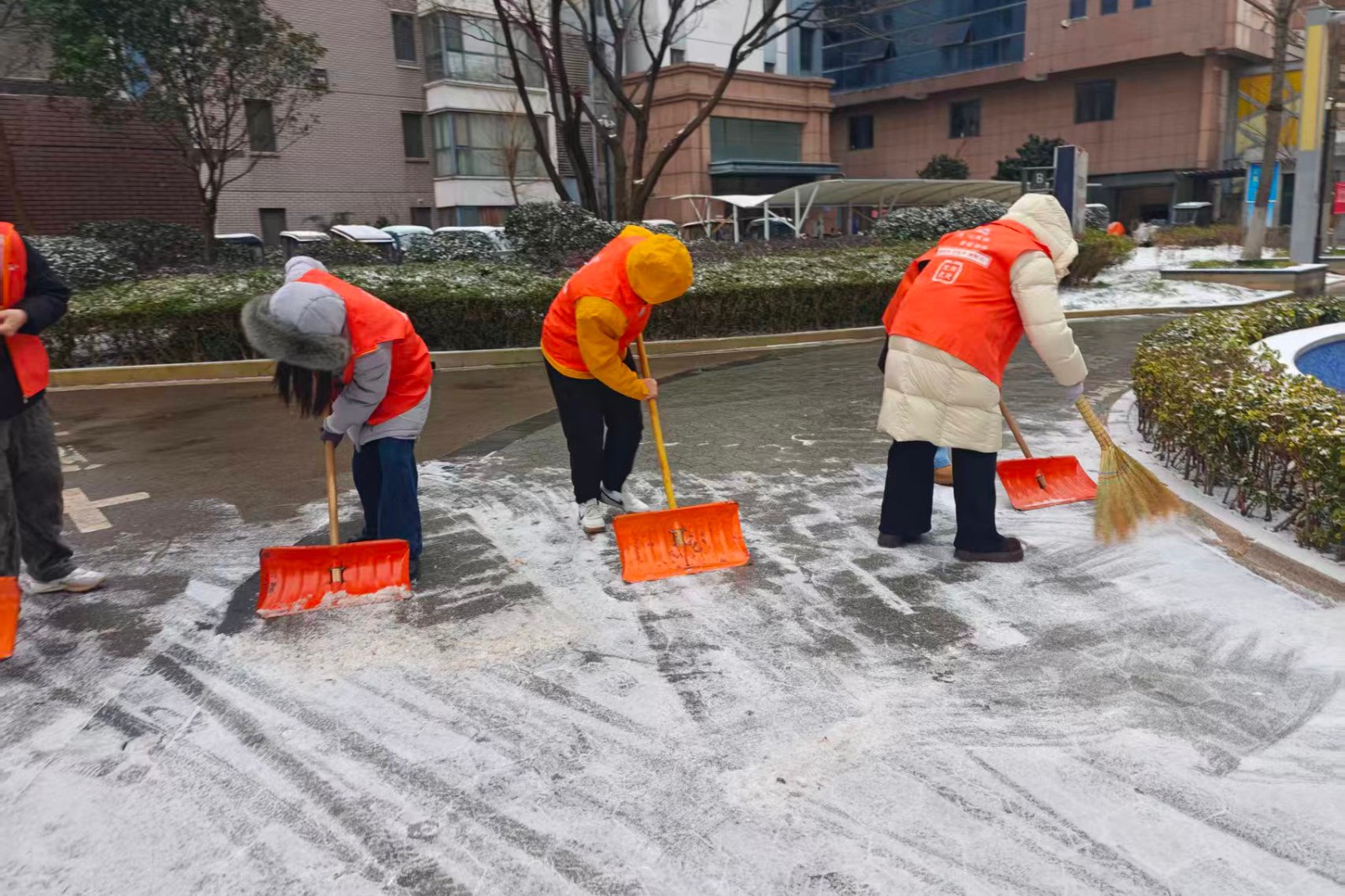 微信图片_20260119101013_8171_103_副本