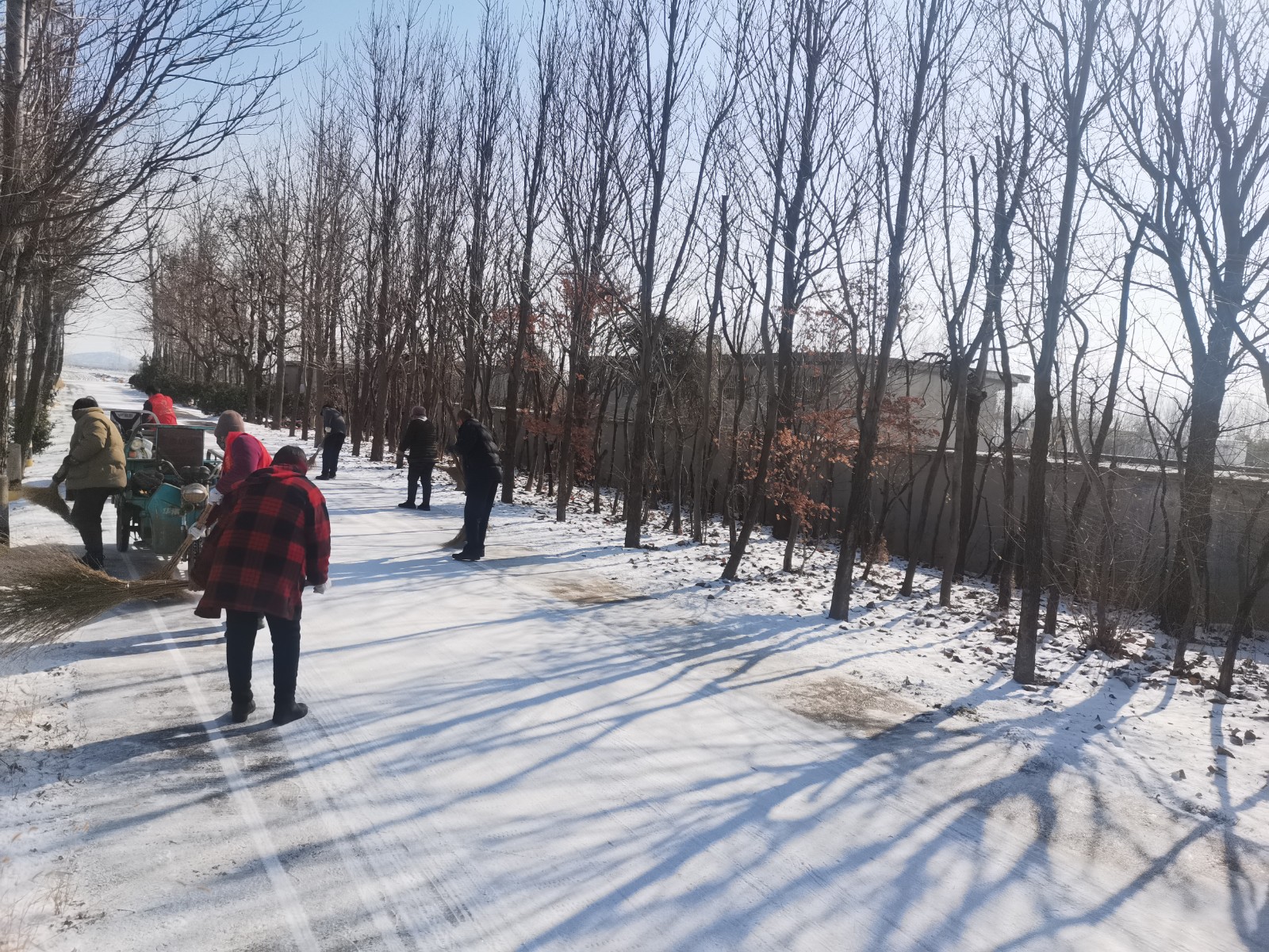 微信图片_20260120115244_3524_40