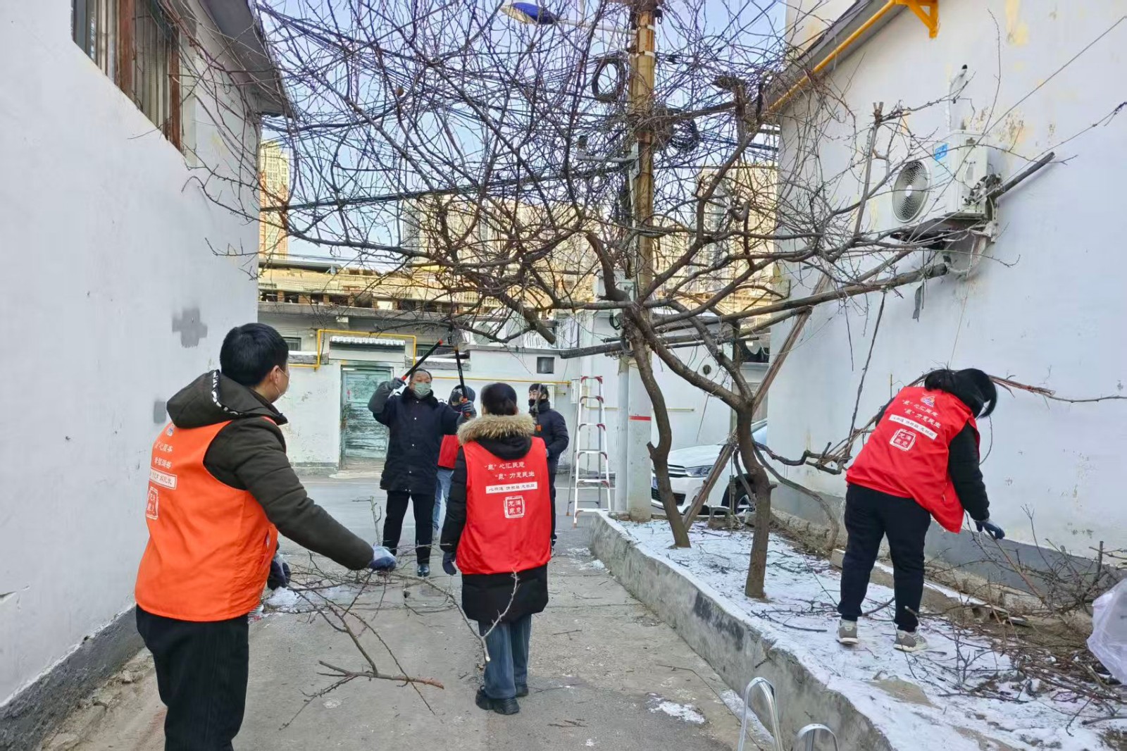 微信图片_20260120100516_8252_103_副本