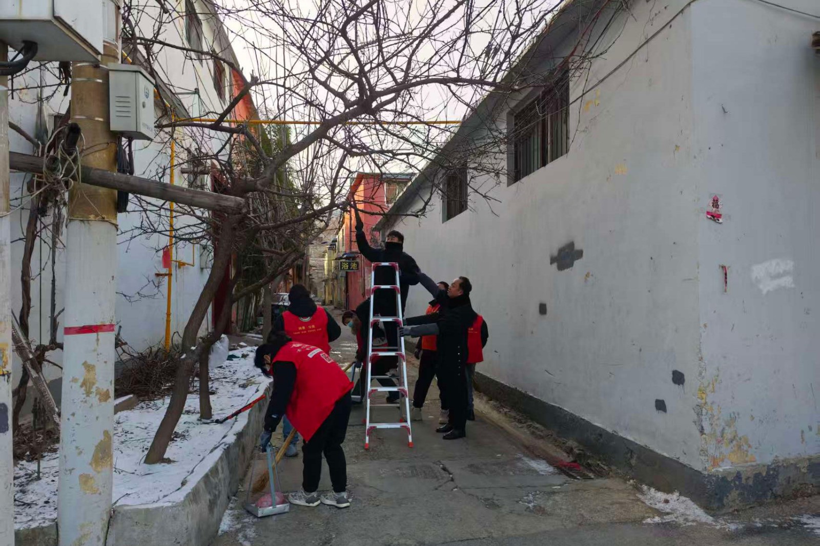 微信图片_20260120100515_8251_103_副本