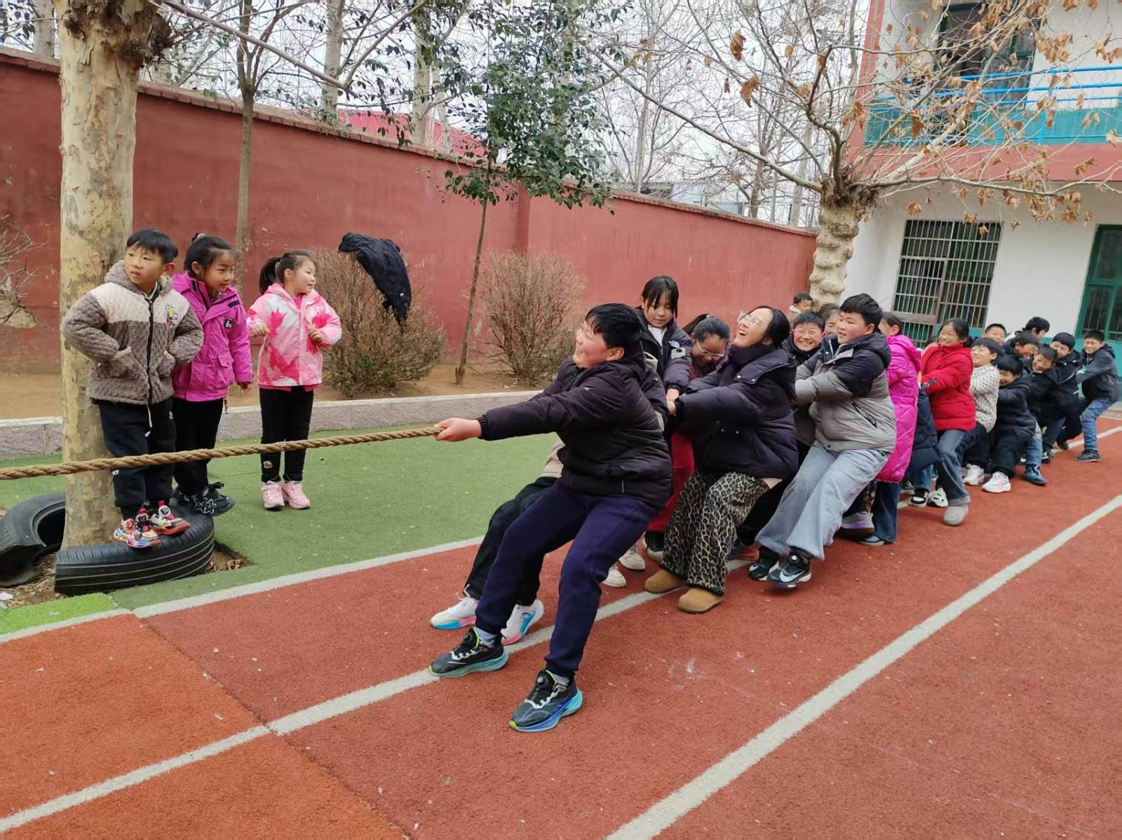 微信图片_20260126111921_240_3