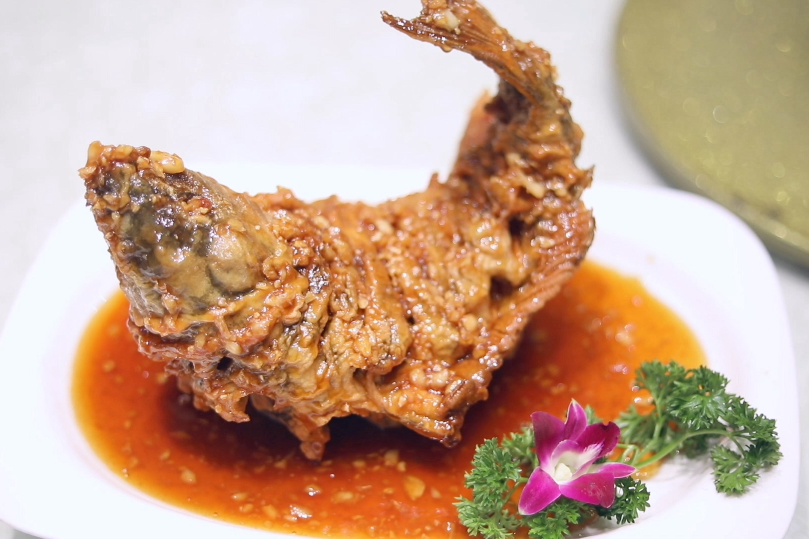 微信图片_2026-02-02_164933_499