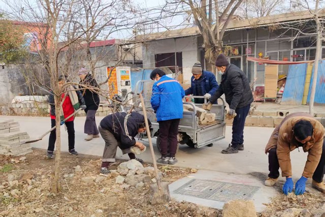 微信图片_20260205174846_705_29_副本_副本