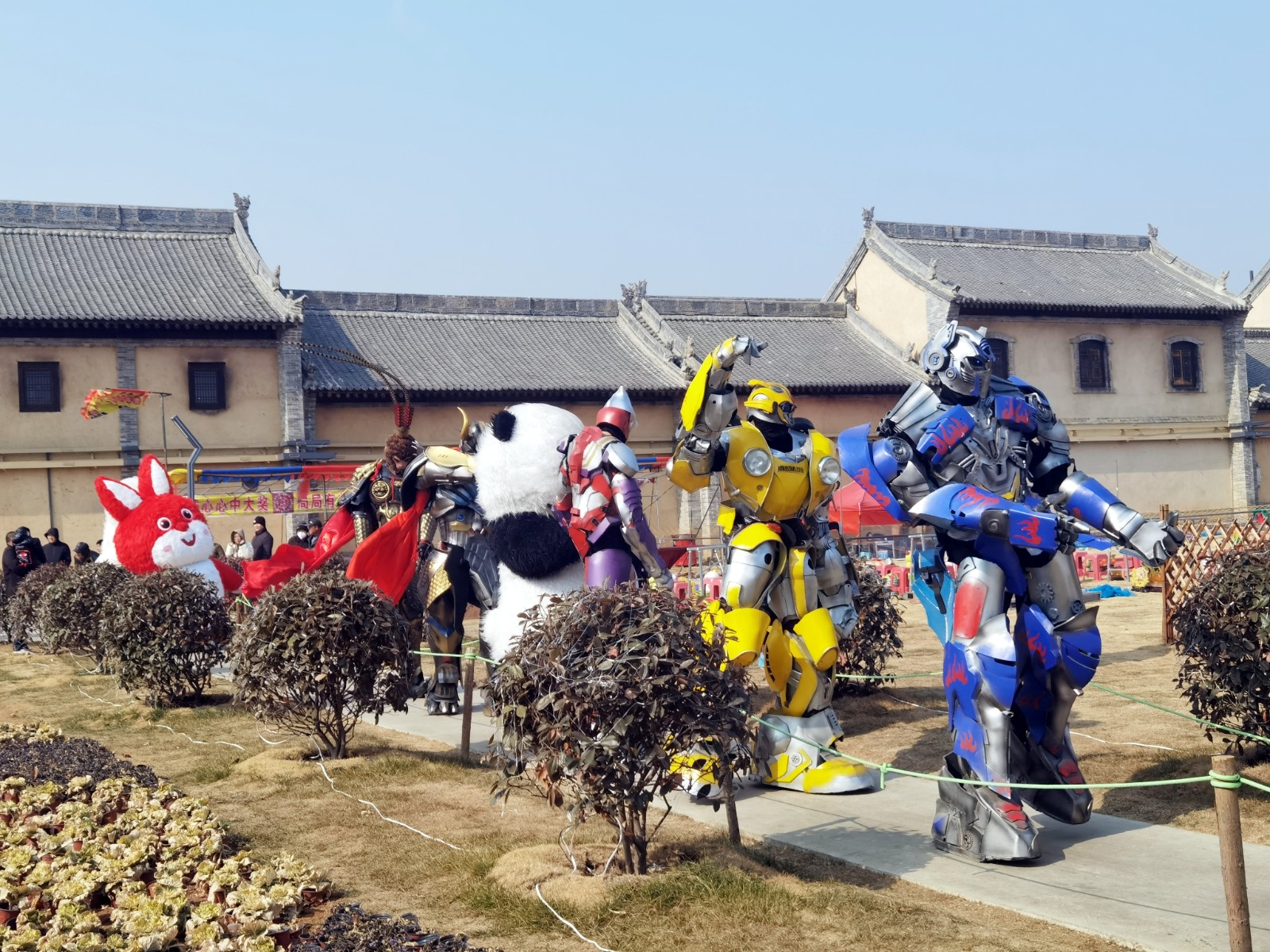 微信图片_20250213091021_副本