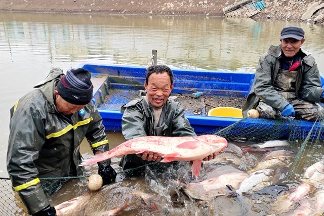 微信图片_20260210134749_23_22_副本