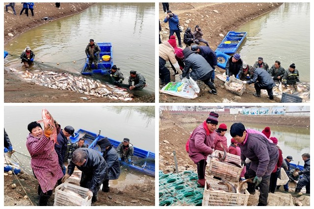 光影魔术手拼图2