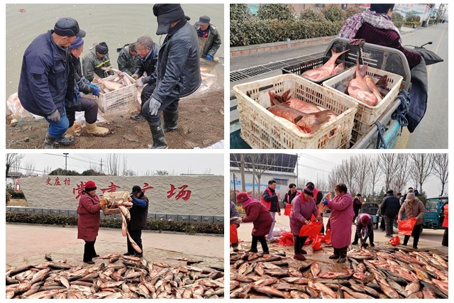 光影魔术手拼图3