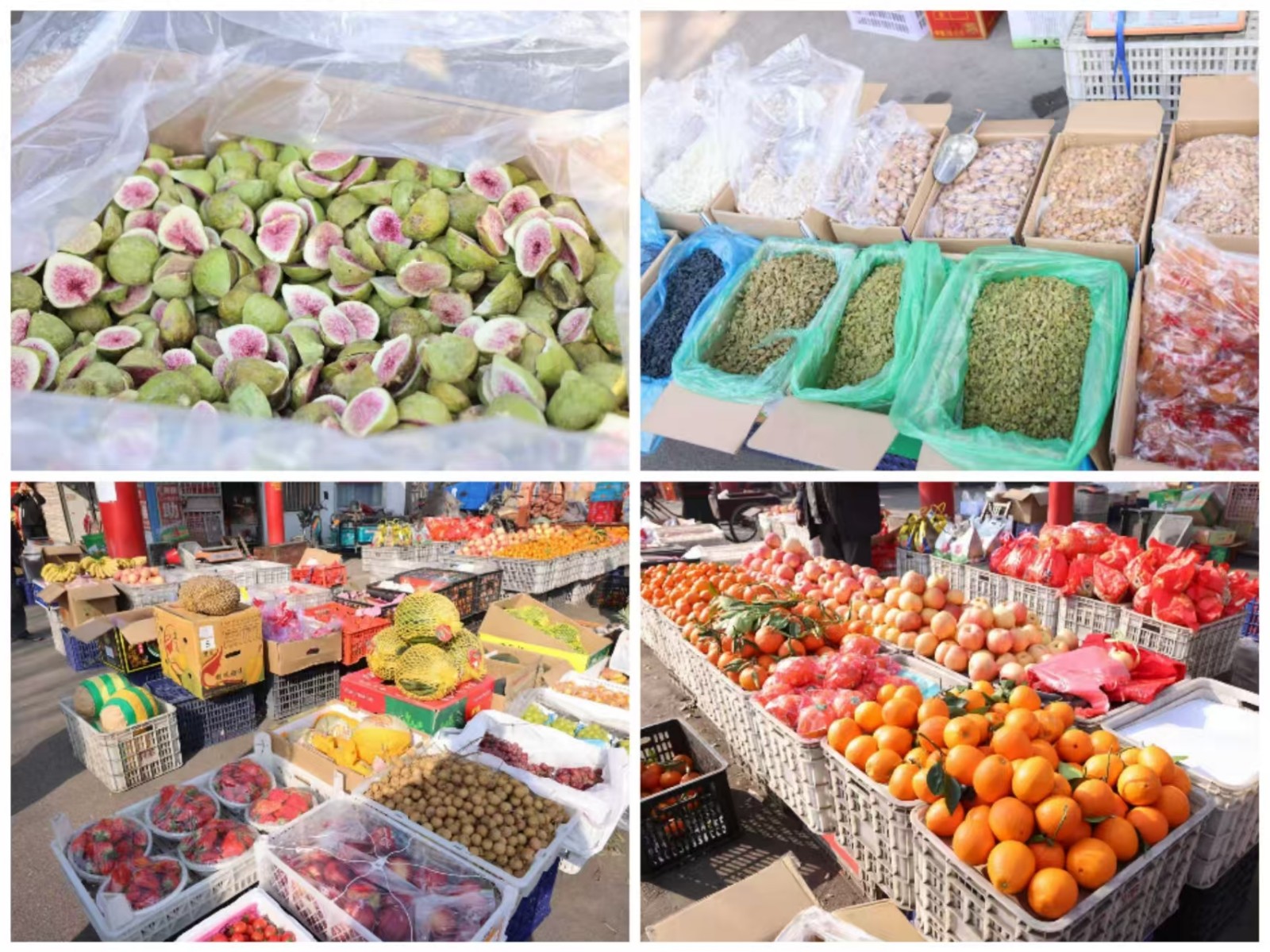 594a0a404456b245d517b8faa5524106