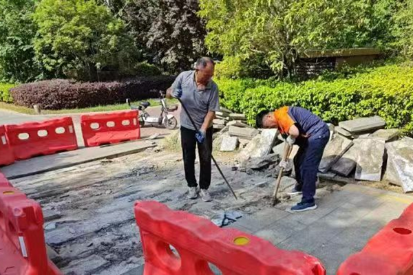 微信图片_20260214093203_416_40_副本