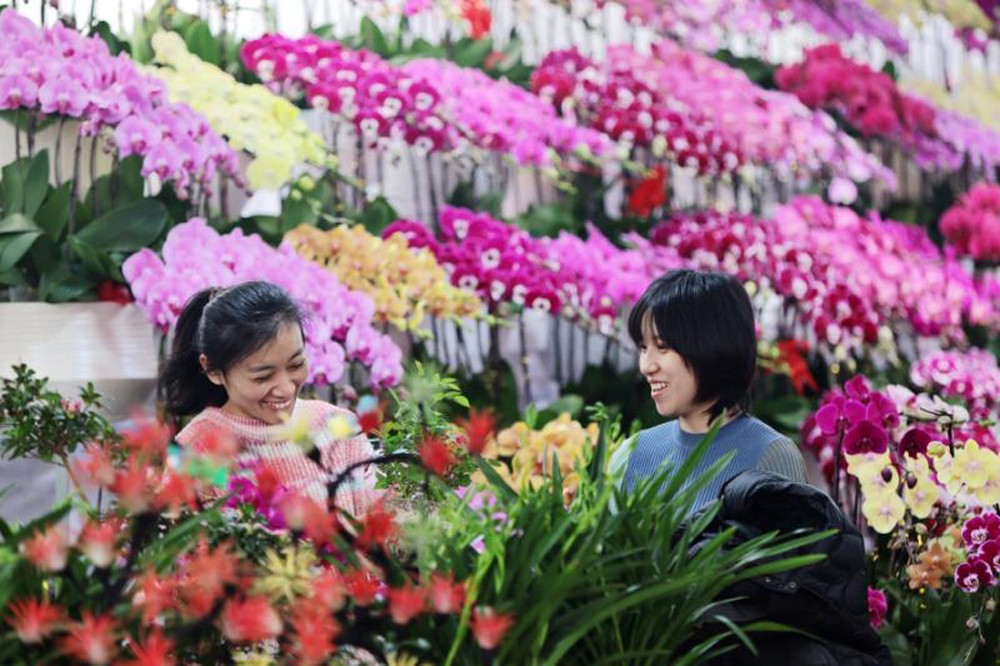 微信图片_20260214085729_199_82