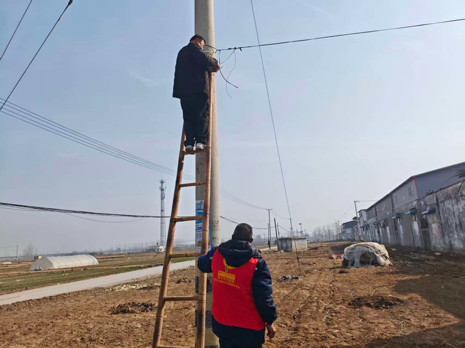 微信图片_20260214100551