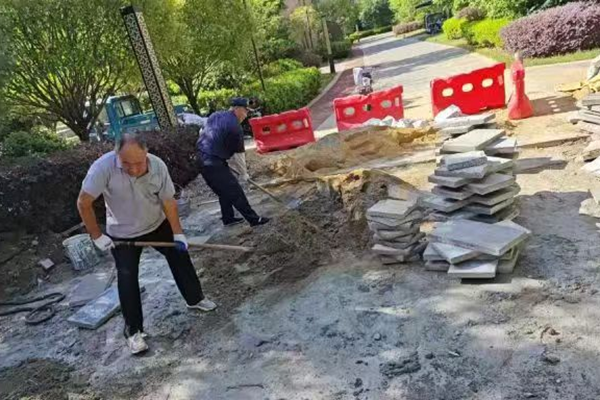 微信图片_20260214093155_415_40_副本