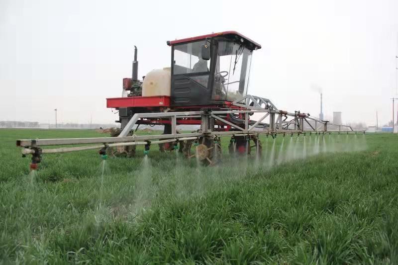 W020260213583070673619