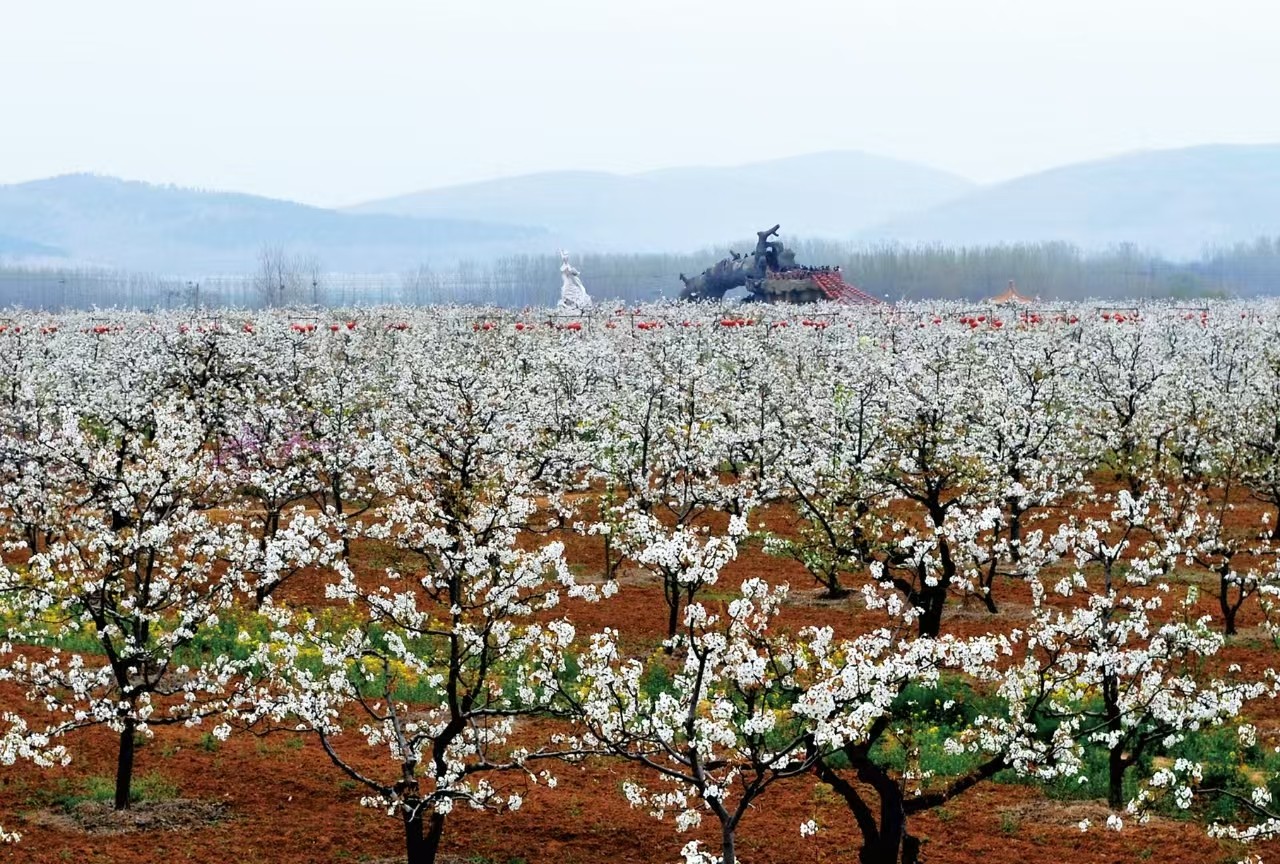 微信图片_20260215094049_4_93