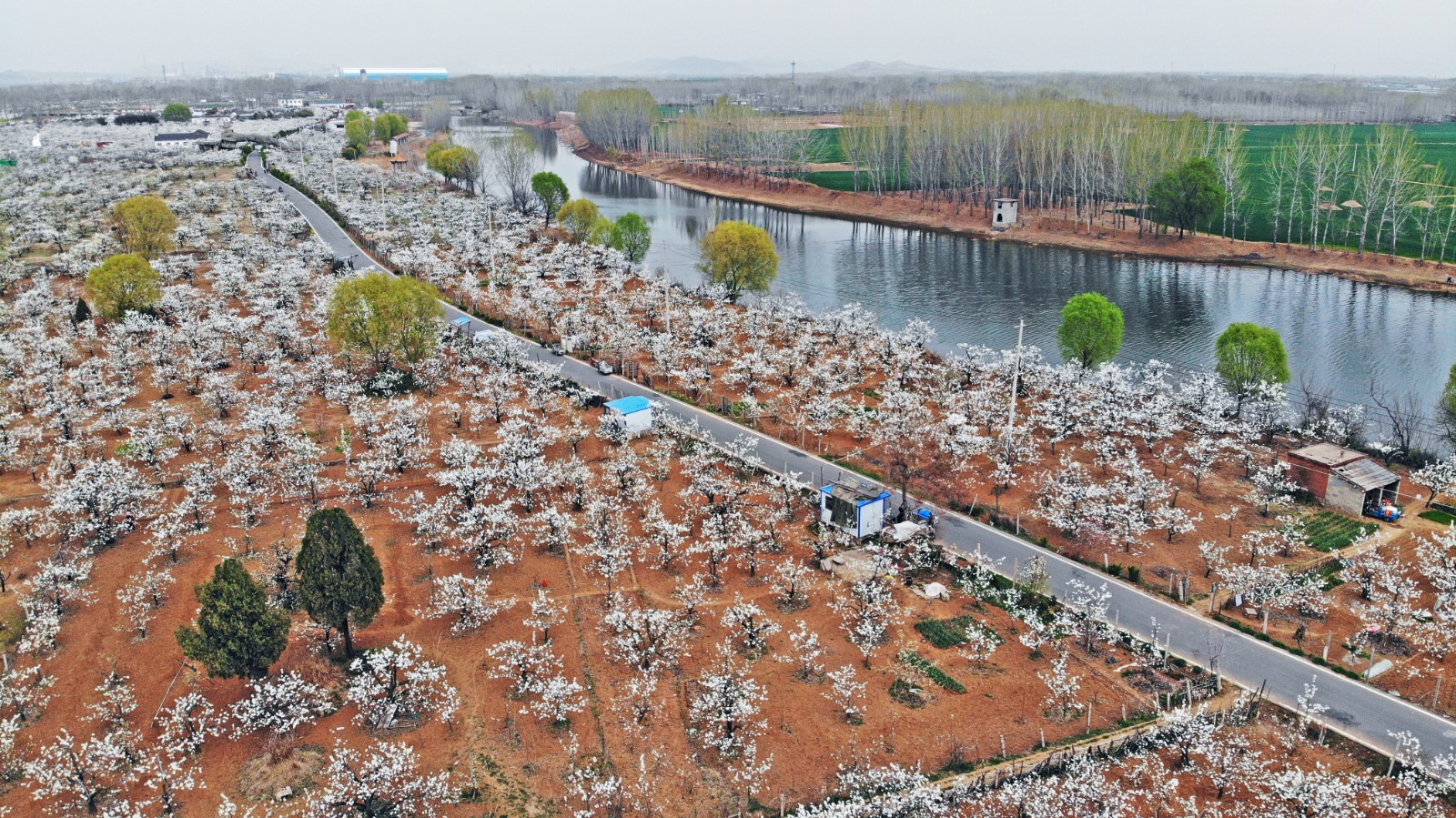 微信图片_20260215095819_30_93