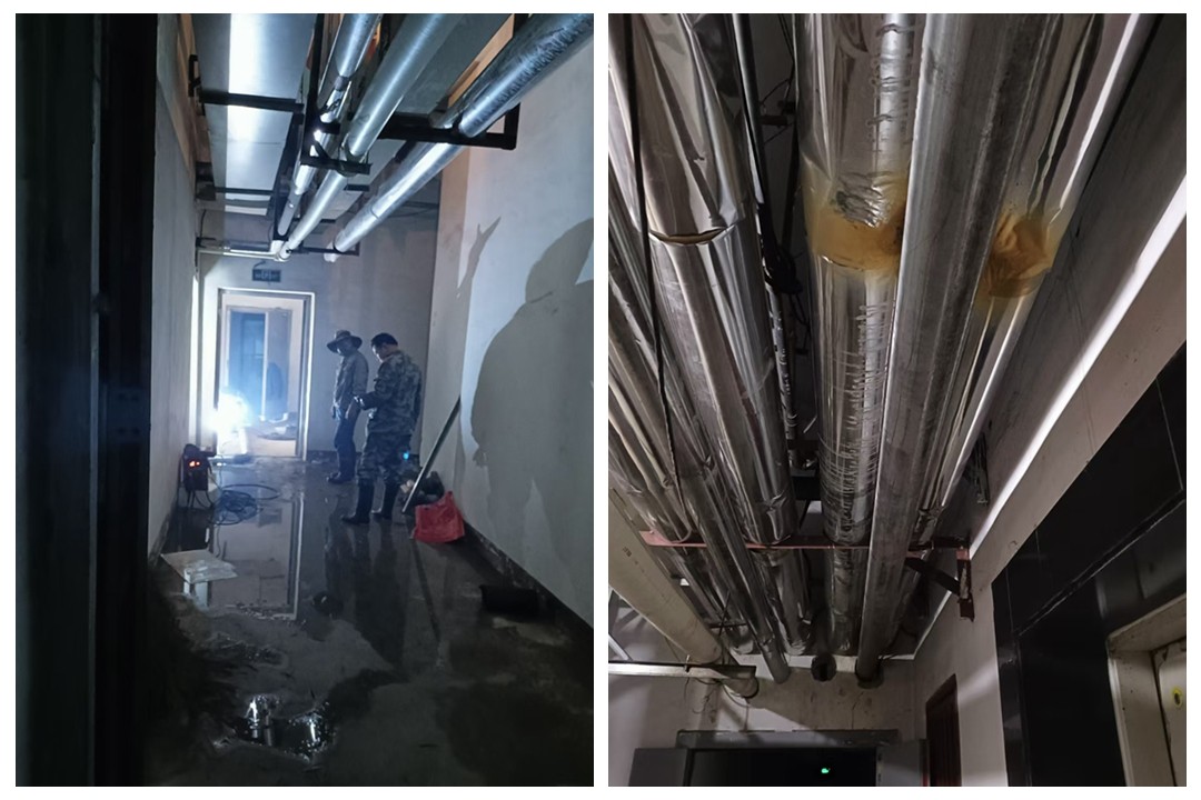 微信图片_20241223113714