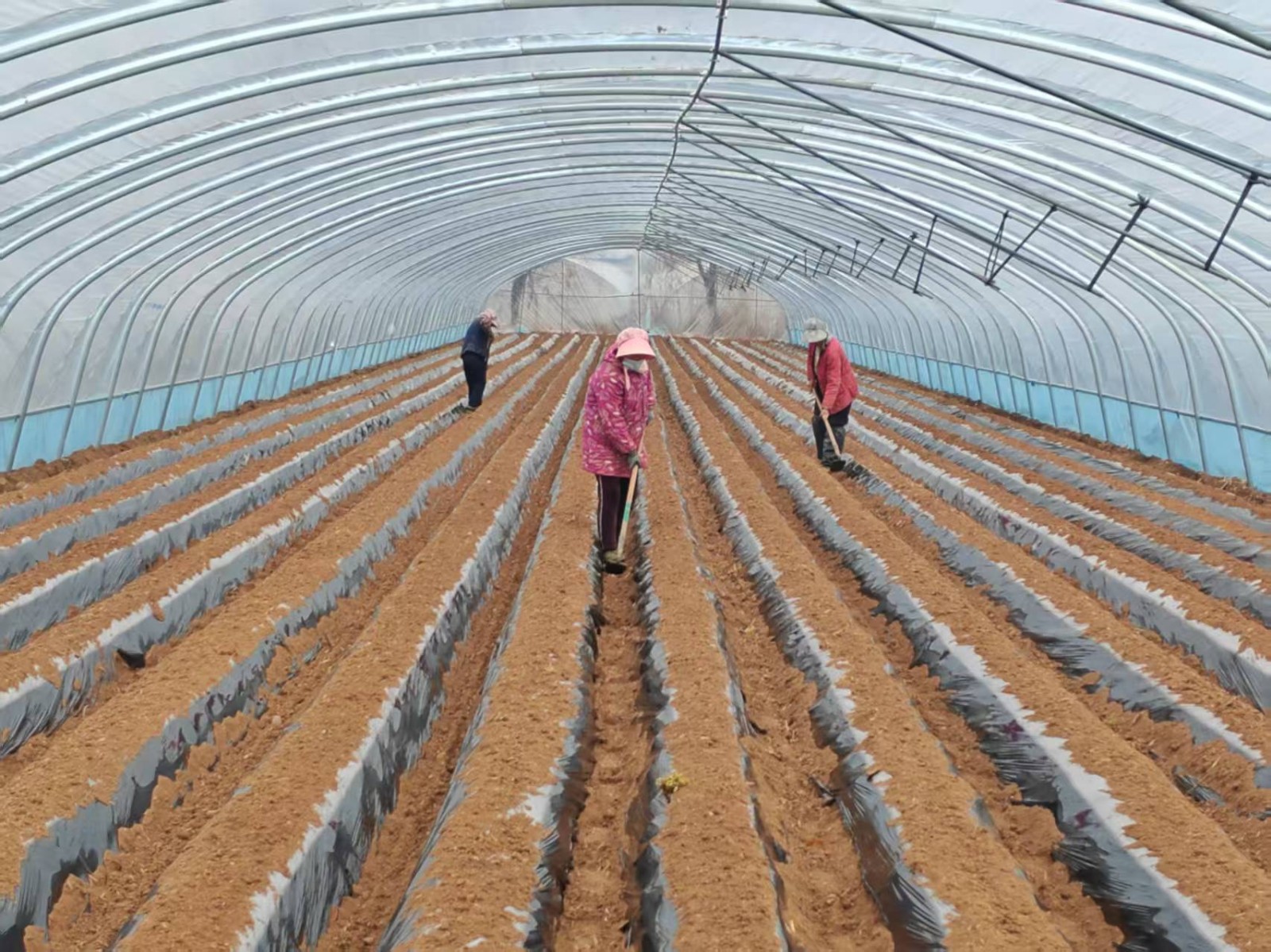 微信图片_20260302152135_686_465