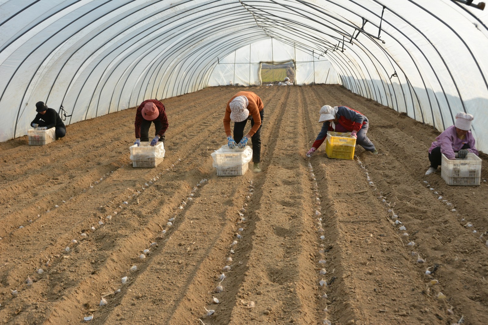 微信图片_20260302151009_682_465