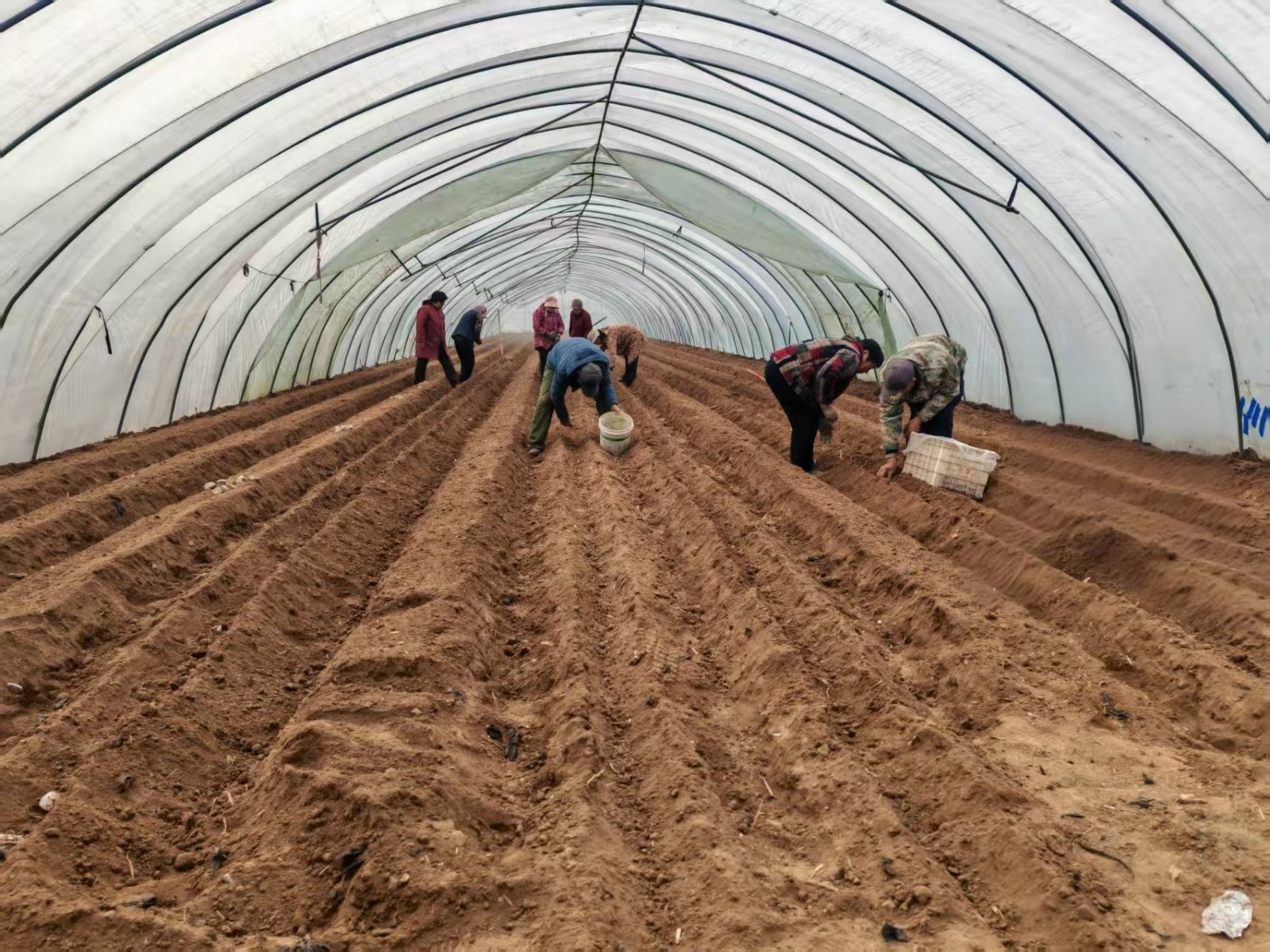 微信图片_20260302152314_688_465