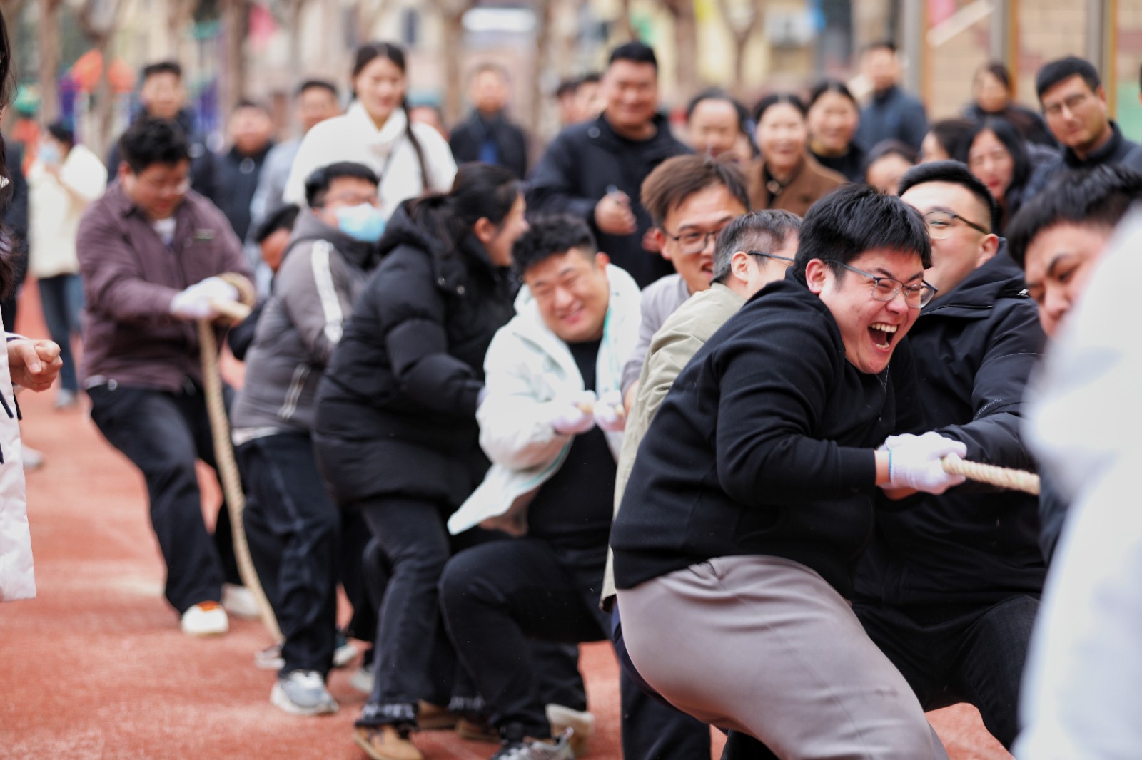 微信图片_20260302155014_5554_8