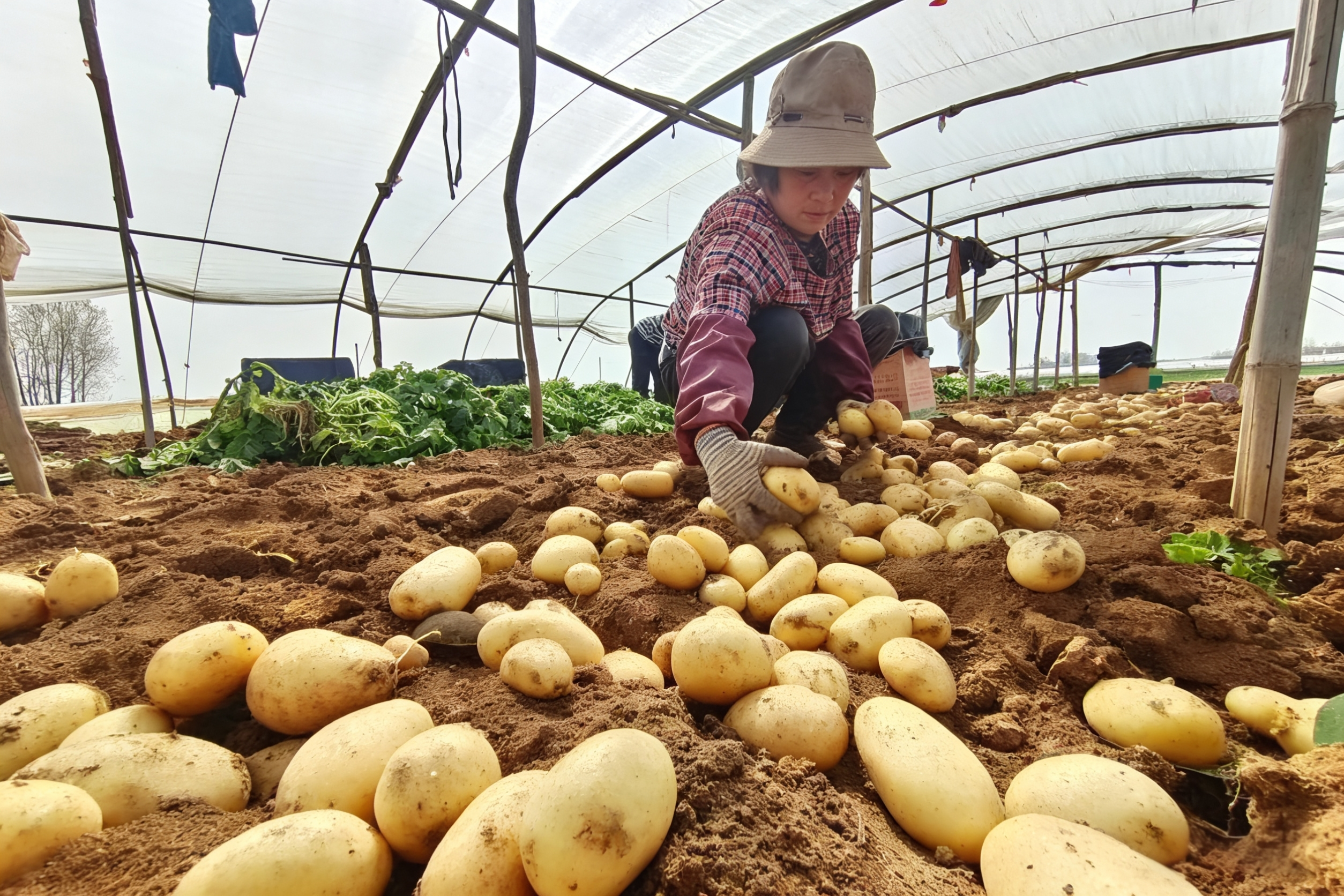 微信图片_20260305160849_45_261